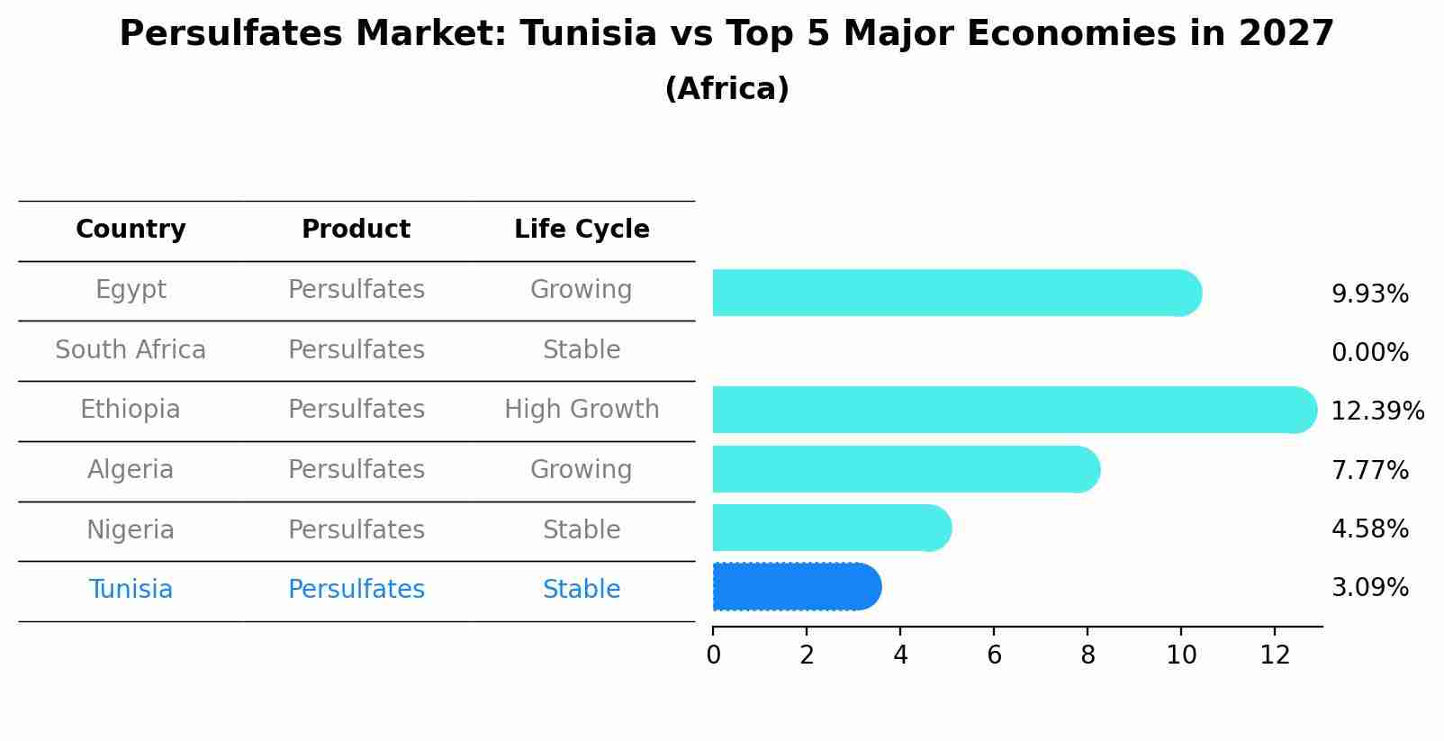 Persulfates Market: Tunisia vs Top 5 Major Economies in 2027 (Africa)
