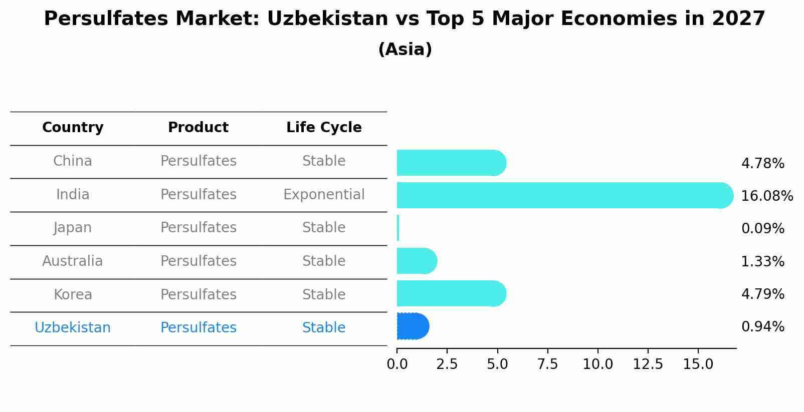 Persulfates Market: Uzbekistan vs Top 5 Major Economies in 2027 (Asia)