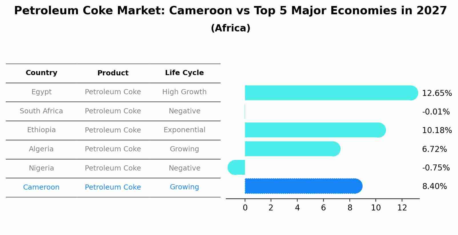 Petroleum Coke Market: Cameroon vs Top 5 Major Economies in 2027 (Africa)