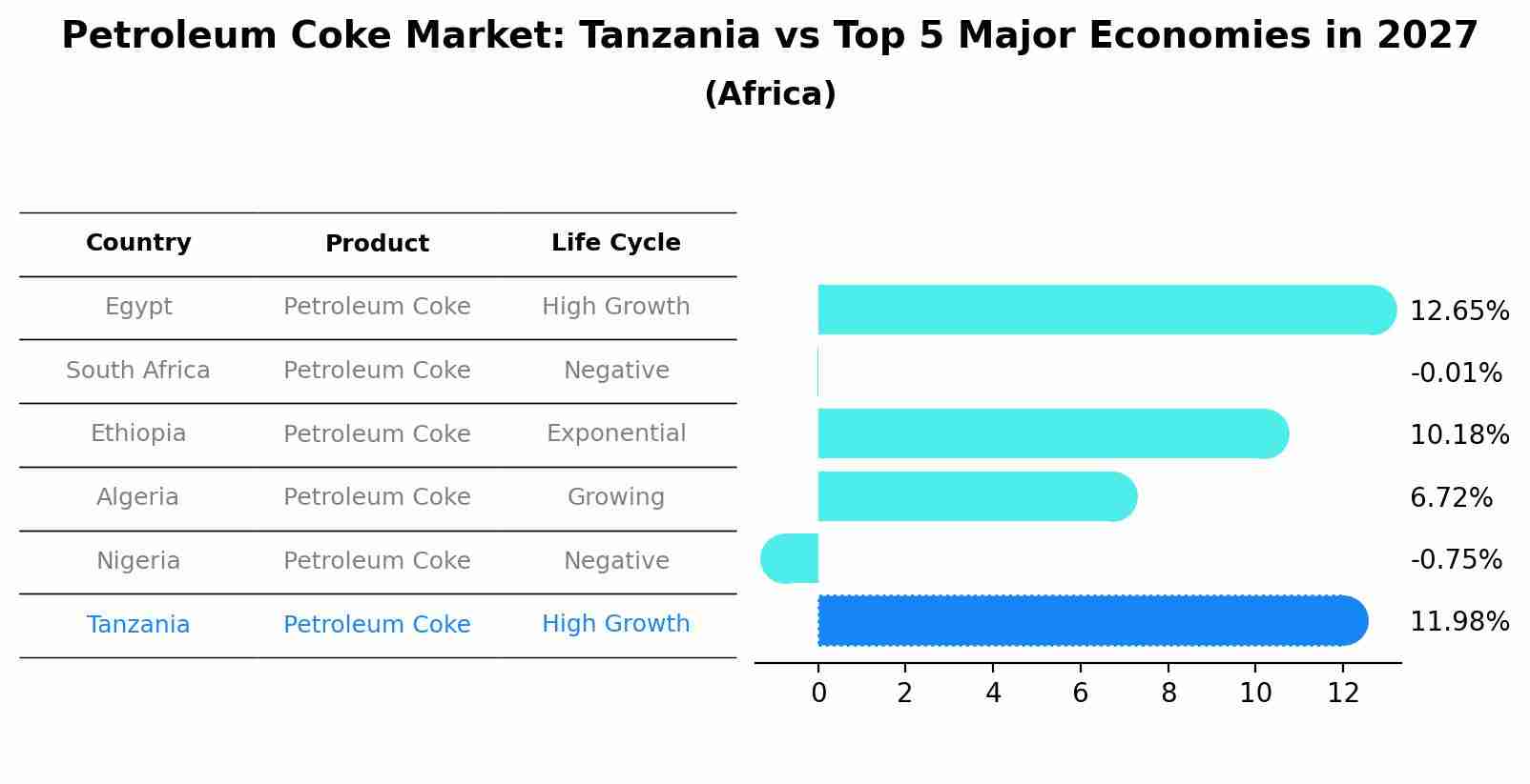Petroleum Coke Market: Tanzania vs Top 5 Major Economies in 2027 (Africa)