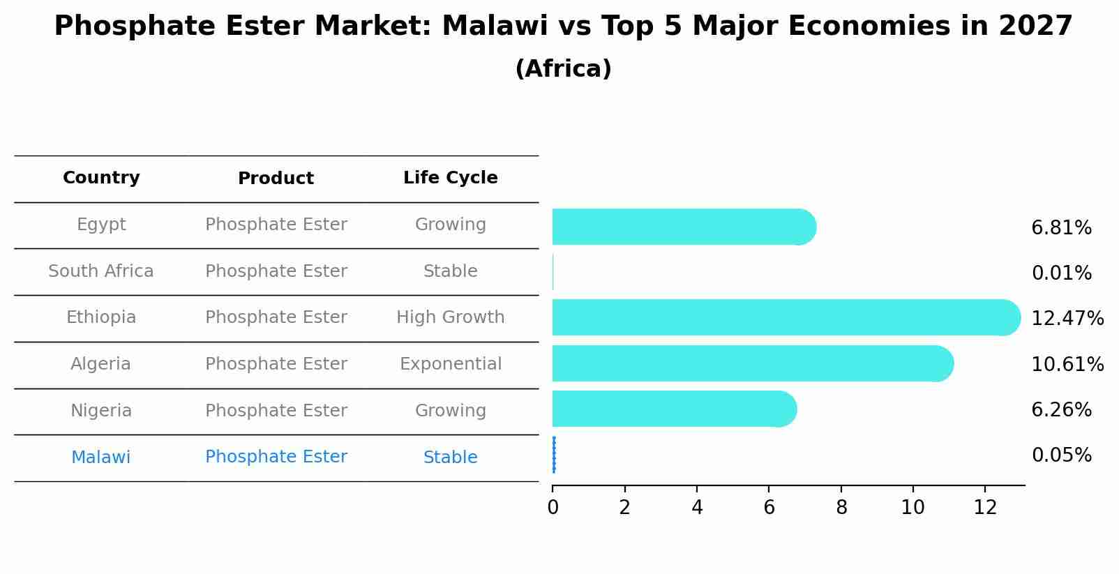 Phosphate Ester Market: Malawi vs Top 5 Major Economies in 2027 (Africa)