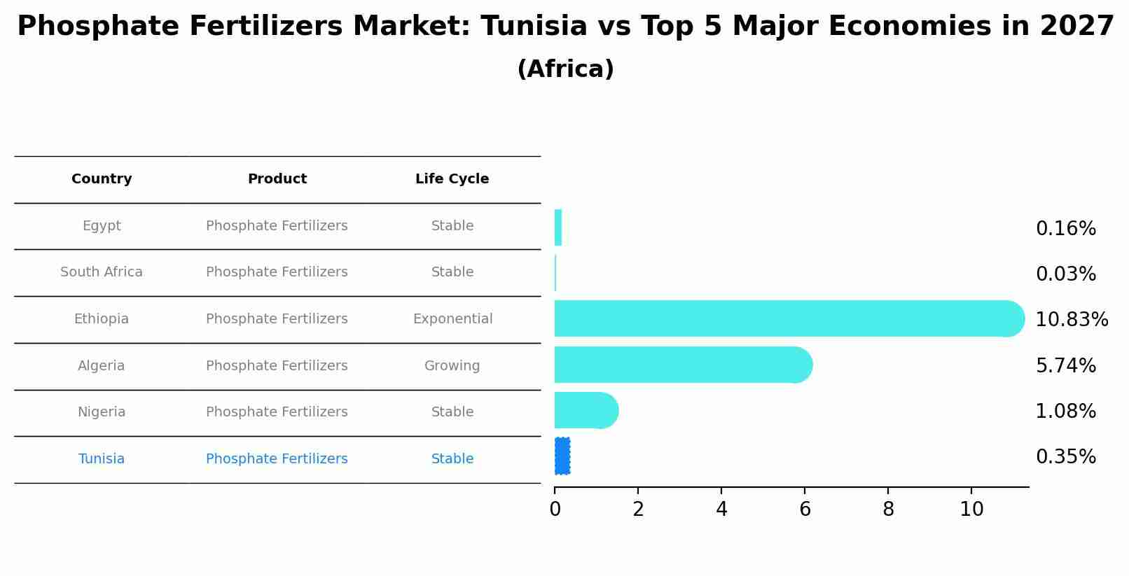 Phosphate Fertilizers Market: Tunisia vs Top 5 Major Economies in 2027 (Africa)