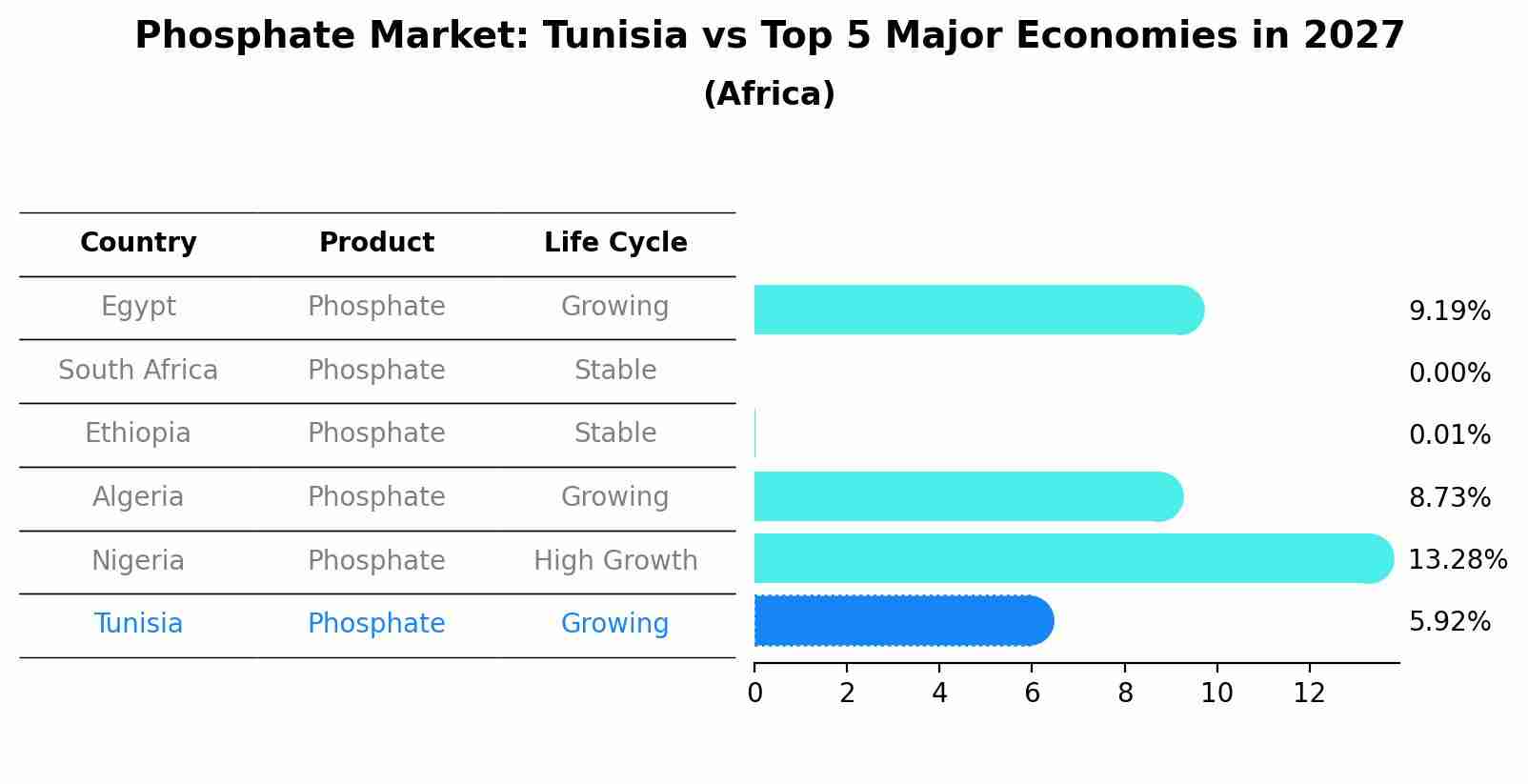 Phosphate Market: Tunisia vs Top 5 Major Economies in 2027 (Africa)
