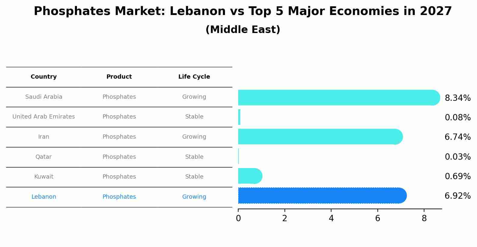 Phosphates Market: Lebanon vs Top 5 Major Economies in 2027 (Middle East)