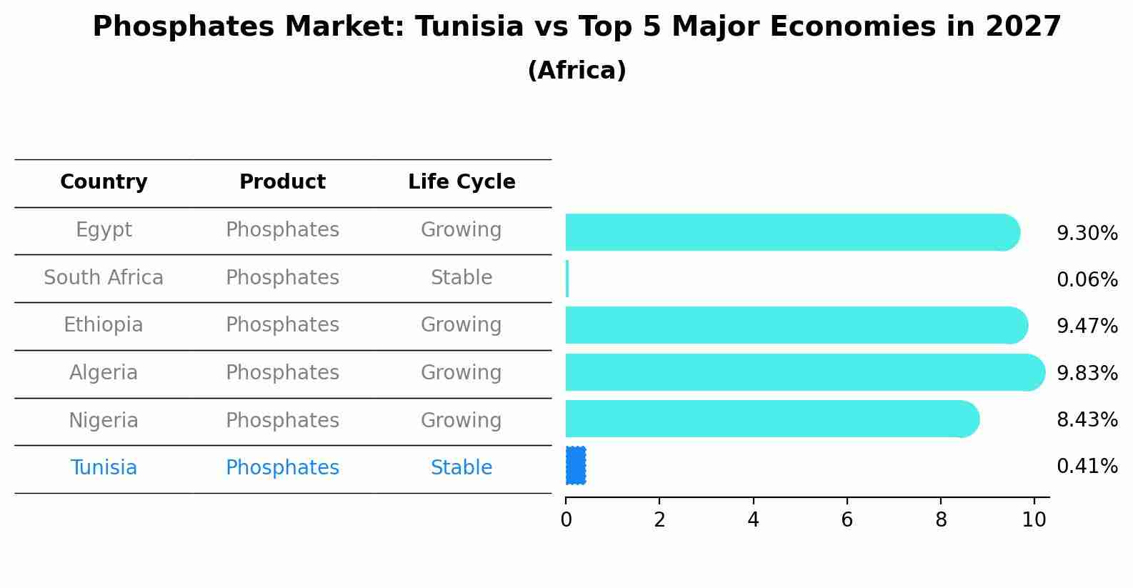 Phosphates Market: Tunisia vs Top 5 Major Economies in 2027 (Africa)