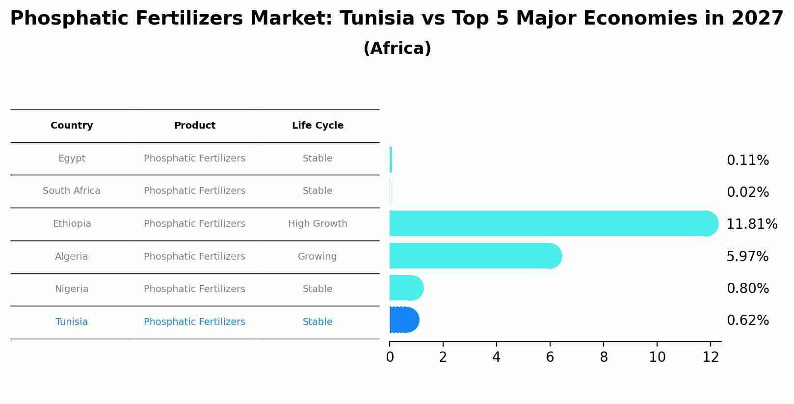 Phosphatic Fertilizers Market: Tunisia vs Top 5 Major Economies in 2027 (Africa)