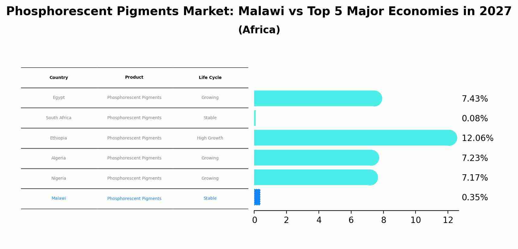 Phosphorescent Pigments Market: Malawi vs Top 5 Major Economies in 2027 (Africa)