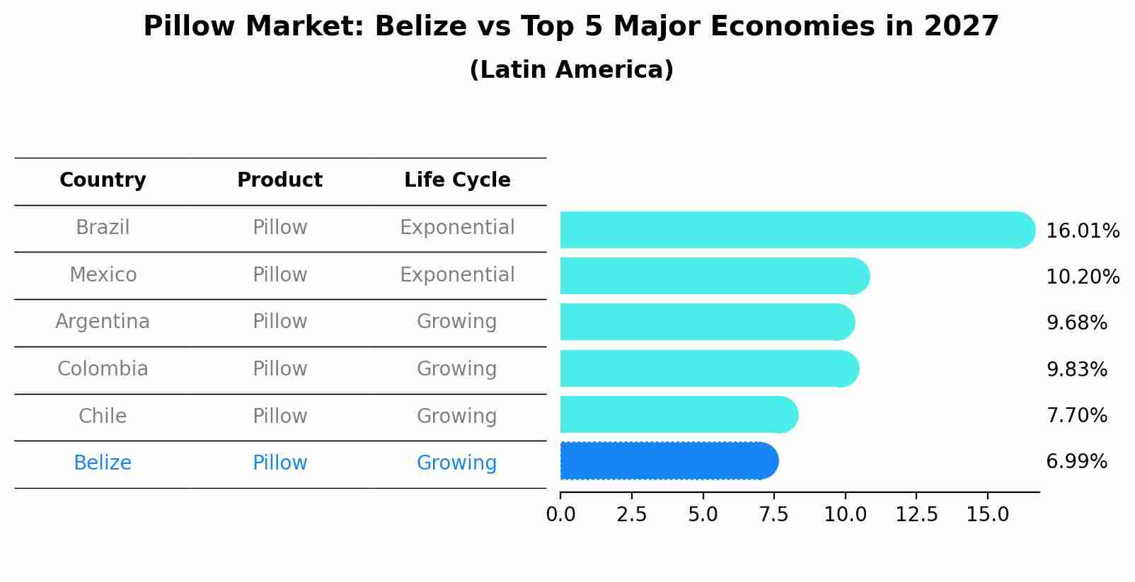 Pillow Market: Belize vs Top 5 Major Economies in 2027 (Latin America)