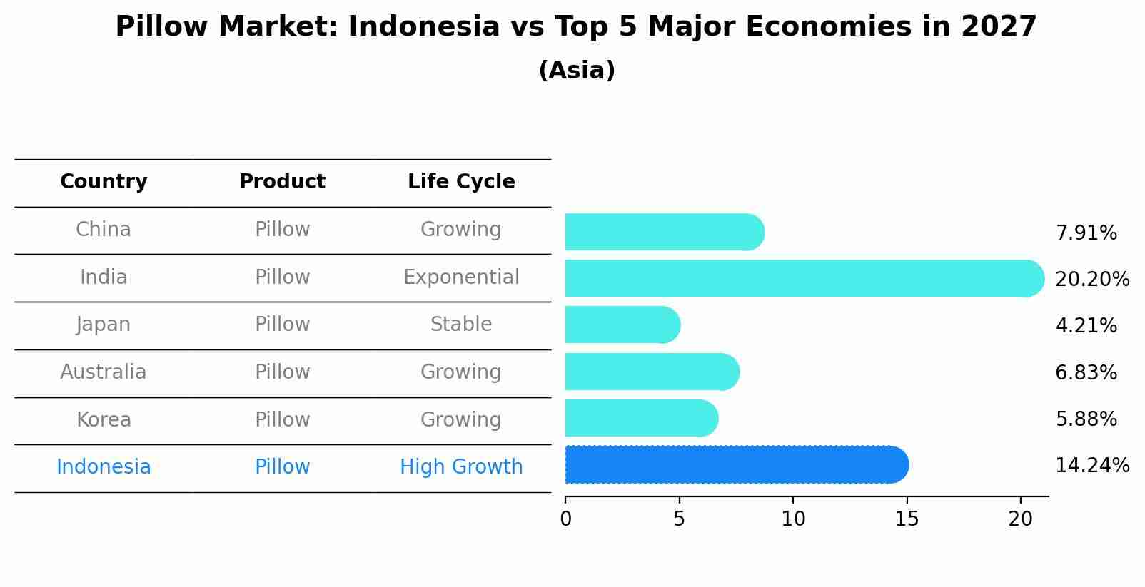 Pillow Market: Indonesia vs Top 5 Major Economies in 2027 (Asia)