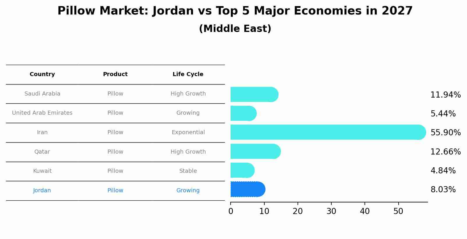 Pillow Market: Jordan vs Top 5 Major Economies in 2027 (Middle East)