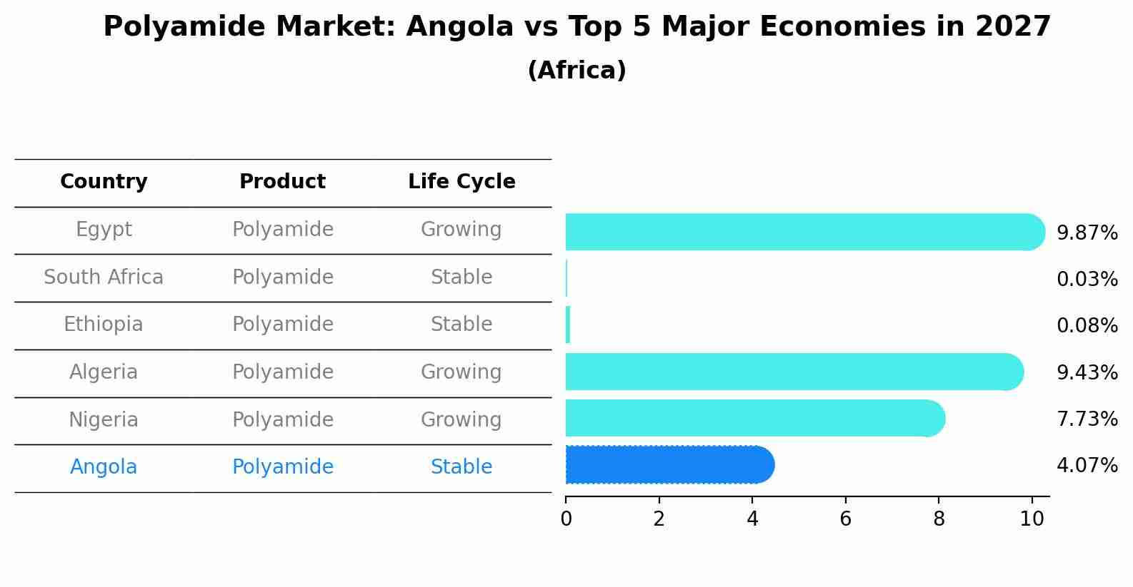 Polyamide Market: Angola vs Top 5 Major Economies in 2027 (Africa)