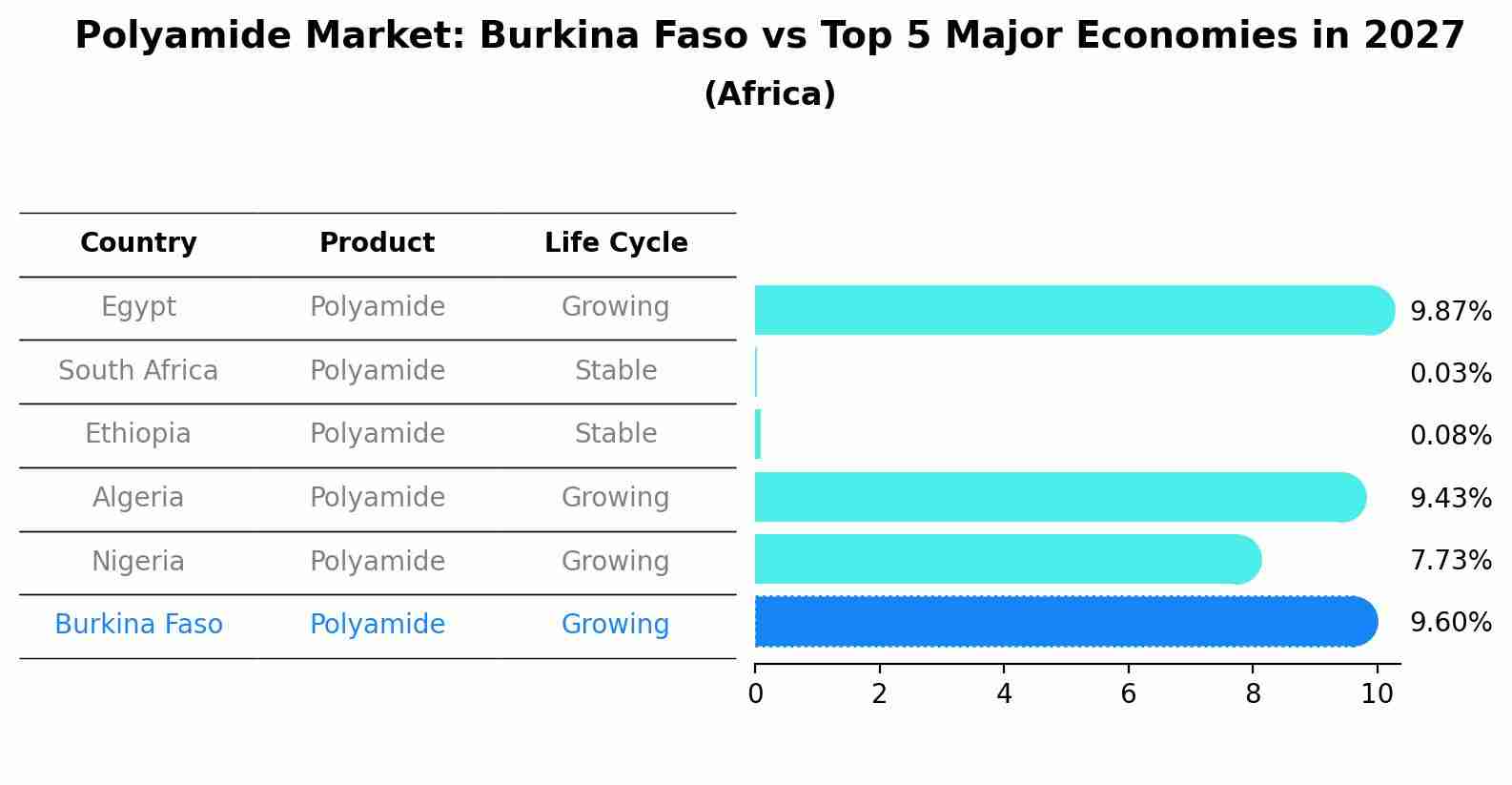 Polyamide Market: Burkina Faso vs Top 5 Major Economies in 2027 (Africa)