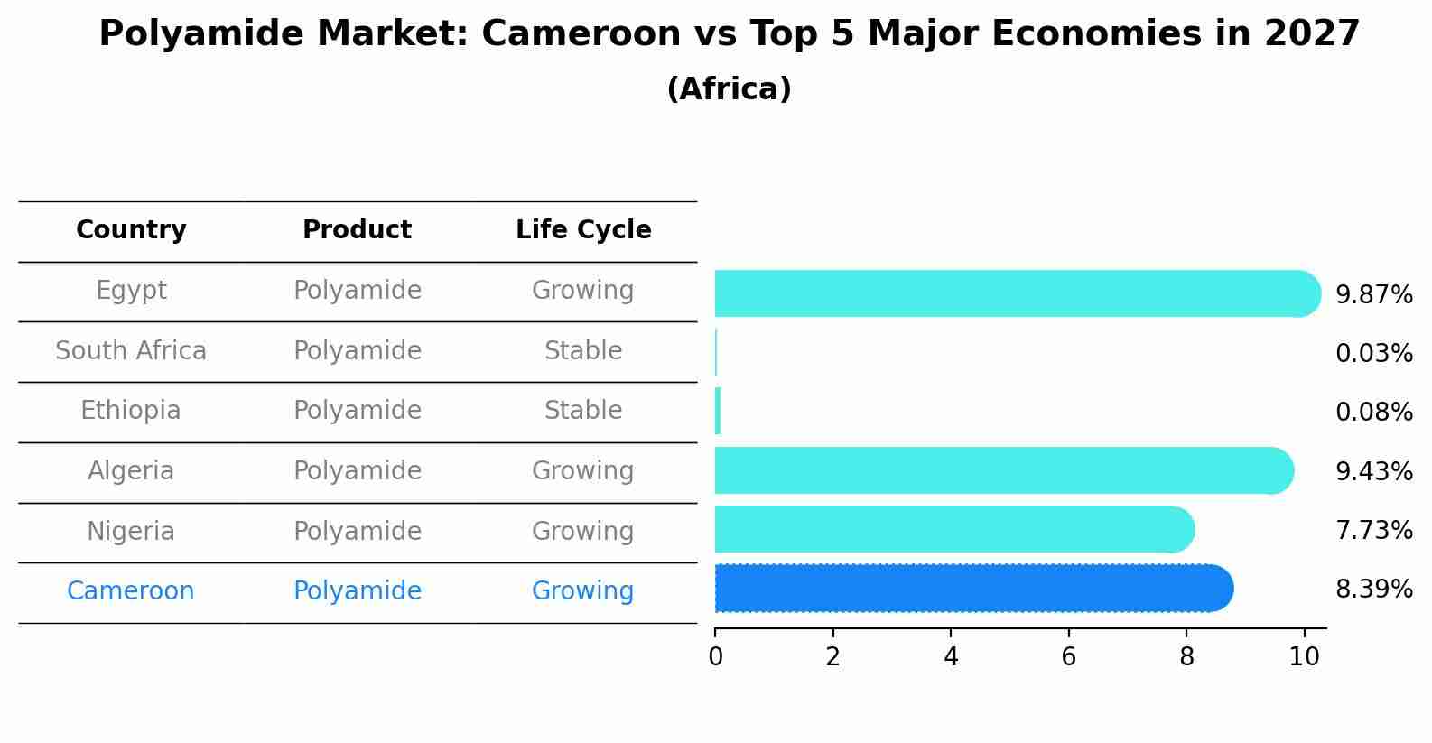 Polyamide Market: Cameroon vs Top 5 Major Economies in 2027 (Africa)