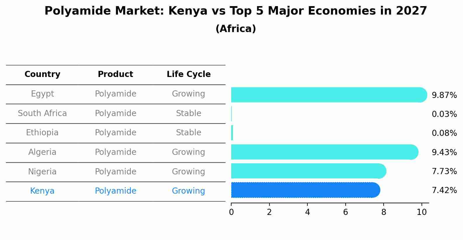 Polyamide Market: Kenya vs Top 5 Major Economies in 2027 (Africa)