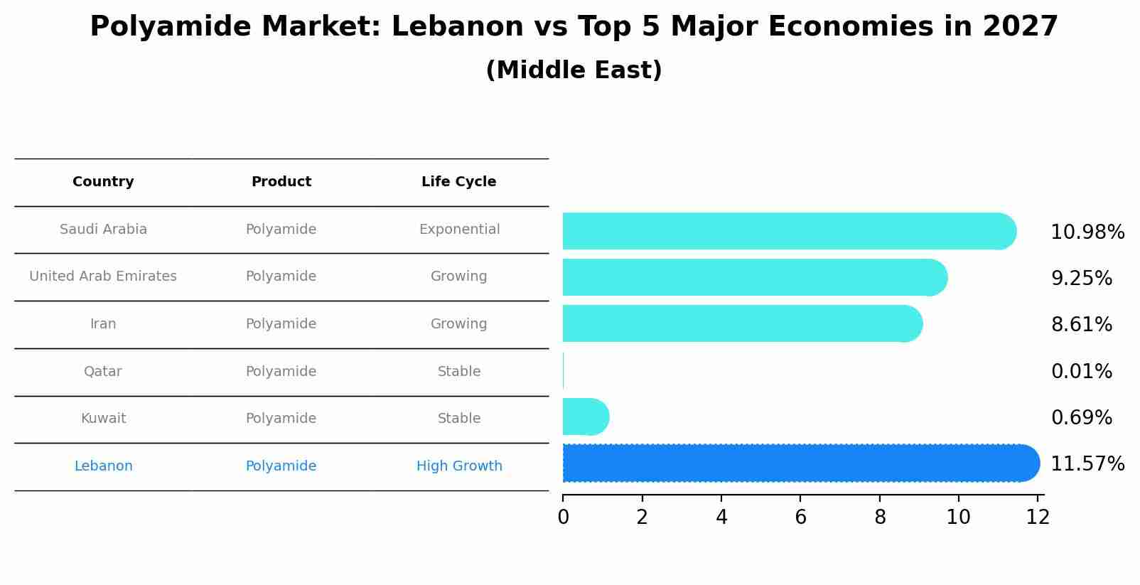 Polyamide Market: Lebanon vs Top 5 Major Economies in 2027 (Middle East)