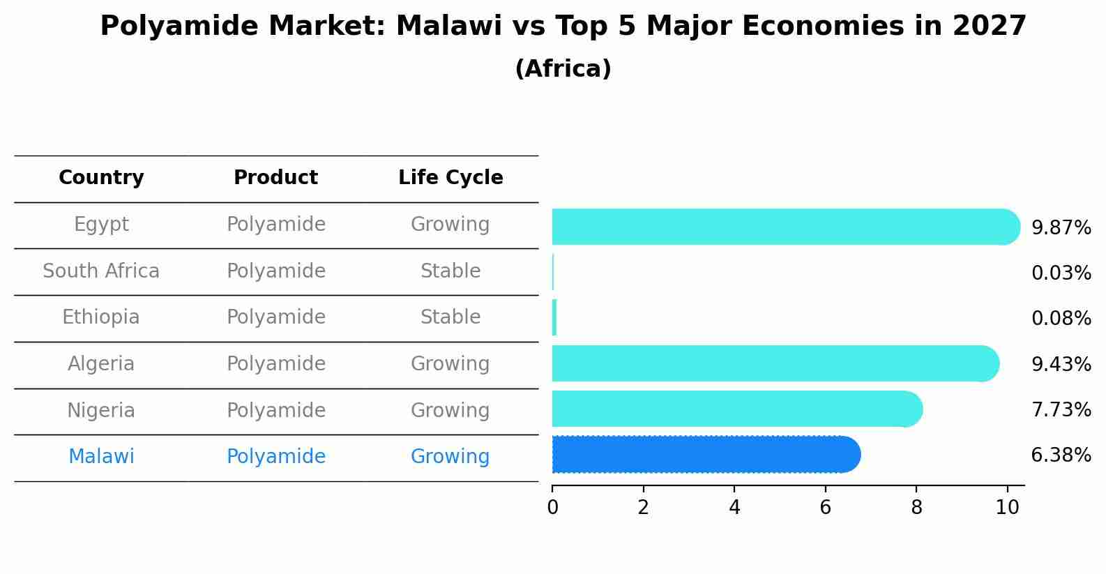 Polyamide Market: Malawi vs Top 5 Major Economies in 2027 (Africa)
