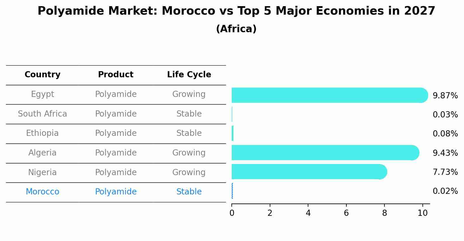 Polyamide Market: Morocco vs Top 5 Major Economies in 2027 (Africa)