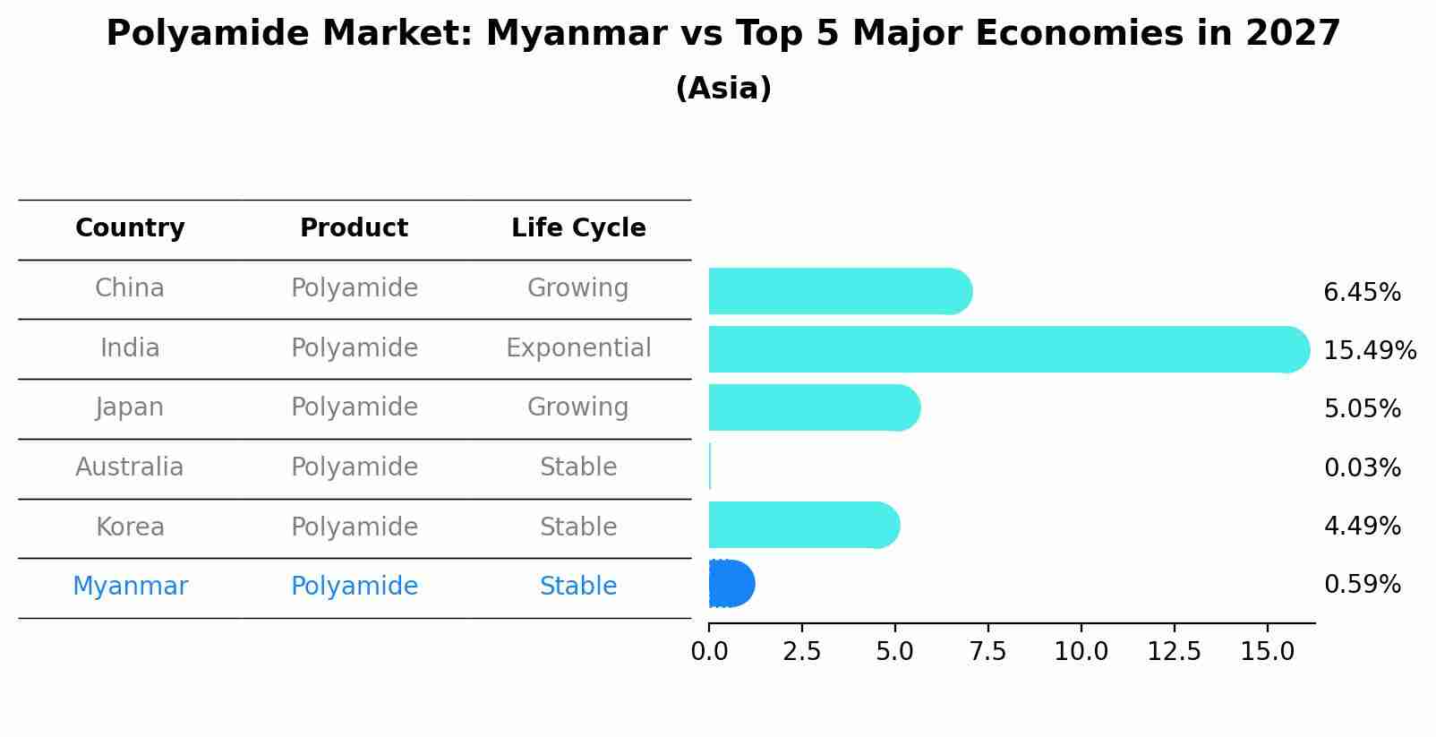 Polyamide Market: Myanmar vs Top 5 Major Economies in 2027 (Asia)