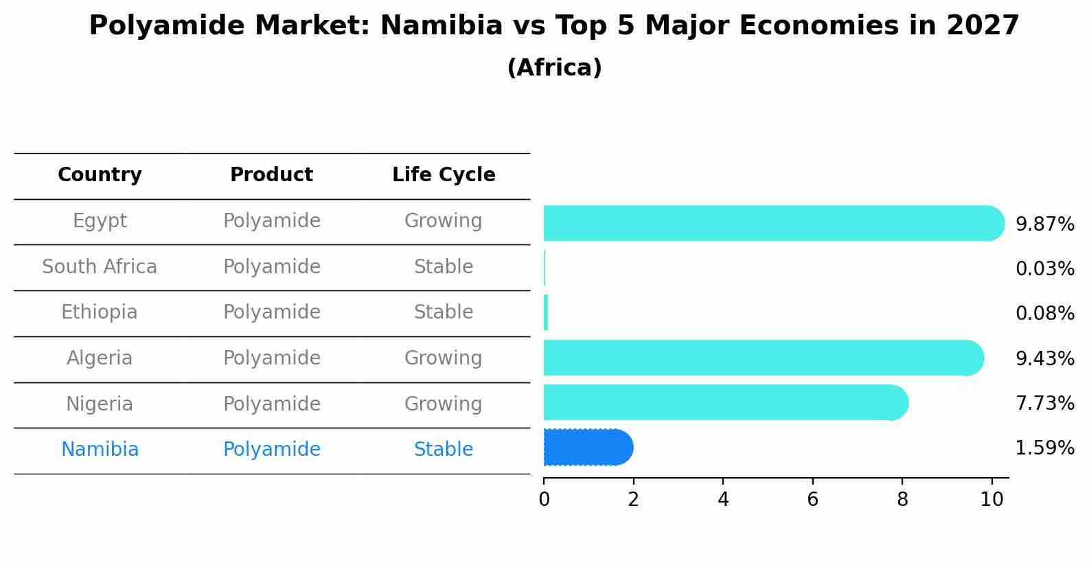 Polyamide Market: Namibia vs Top 5 Major Economies in 2027 (Africa)