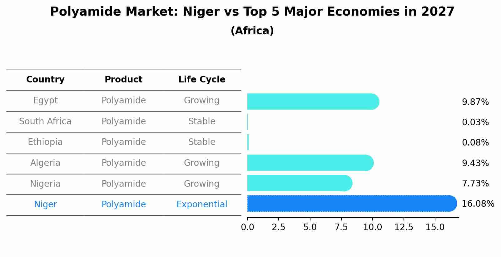 Polyamide Market: Niger vs Top 5 Major Economies in 2027 (Africa)