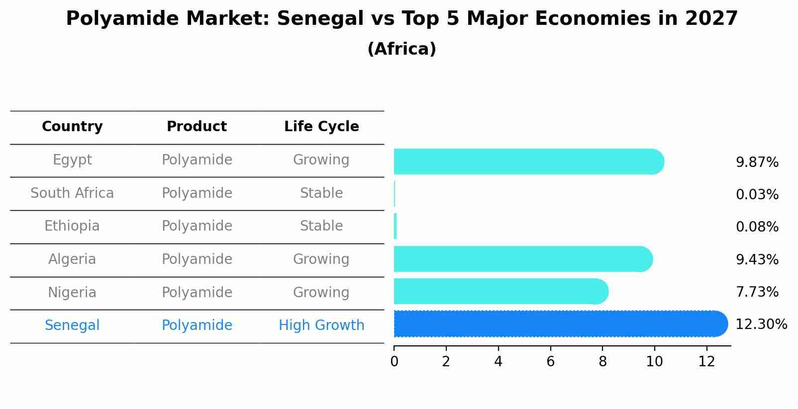 Polyamide Market: Senegal vs Top 5 Major Economies in 2027 (Africa)