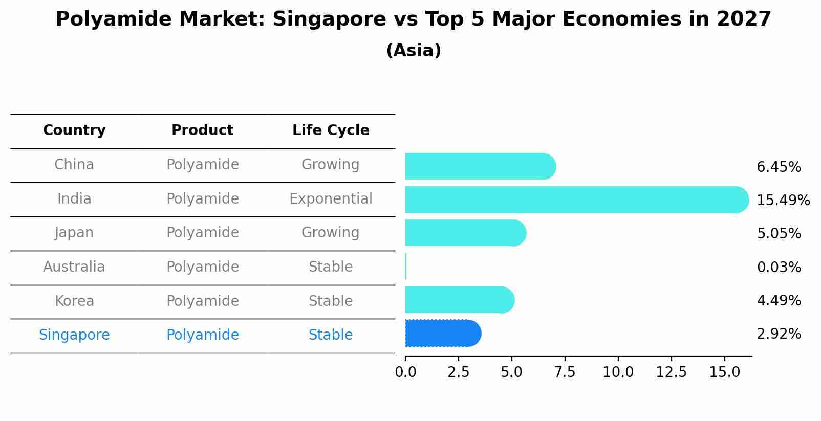 Polyamide Market: Singapore vs Top 5 Major Economies in 2027 (Asia)