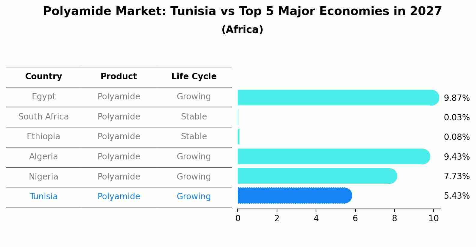 Polyamide Market: Tunisia vs Top 5 Major Economies in 2027 (Africa)