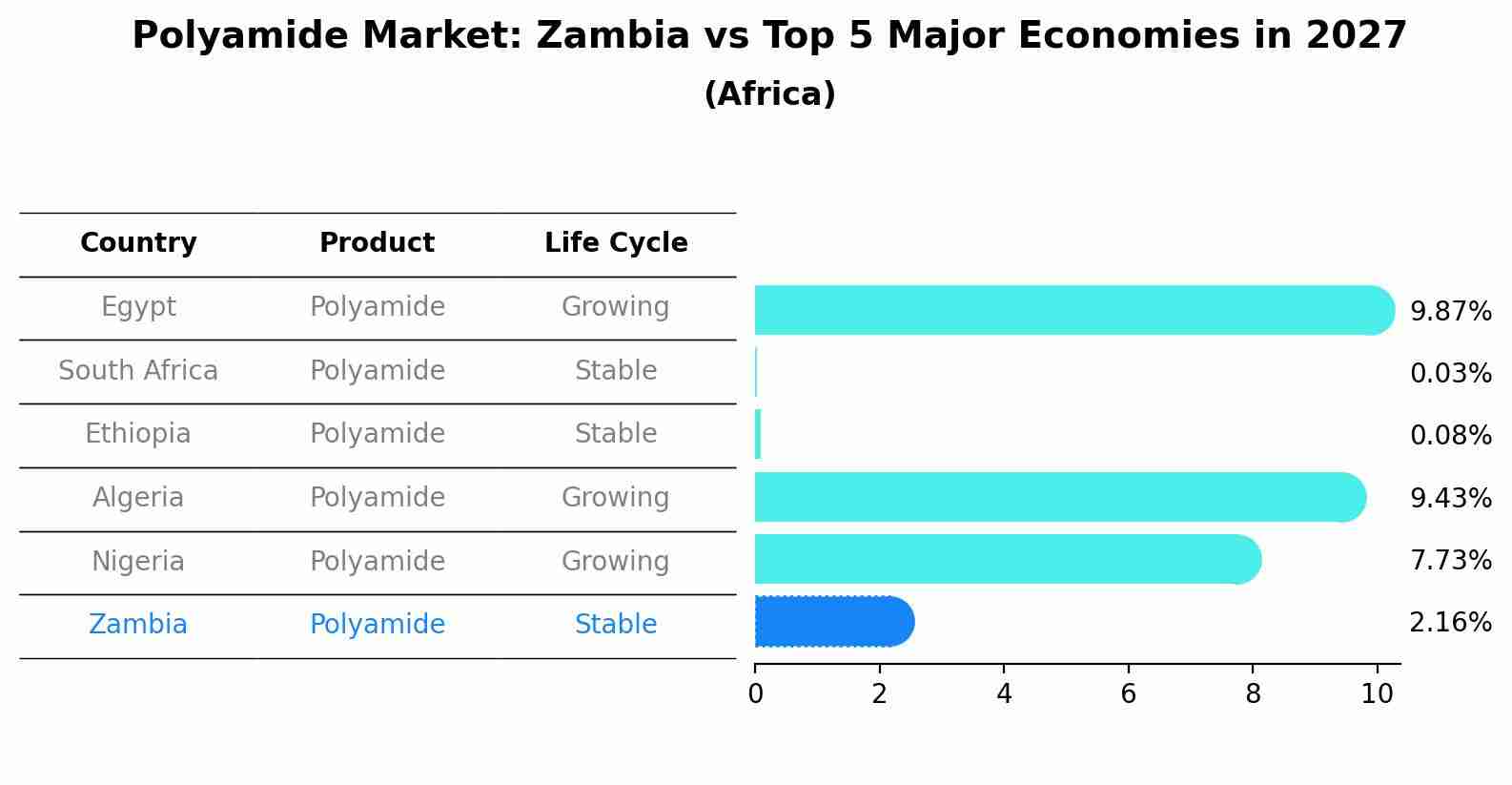 Polyamide Market: Zambia vs Top 5 Major Economies in 2027 (Africa)