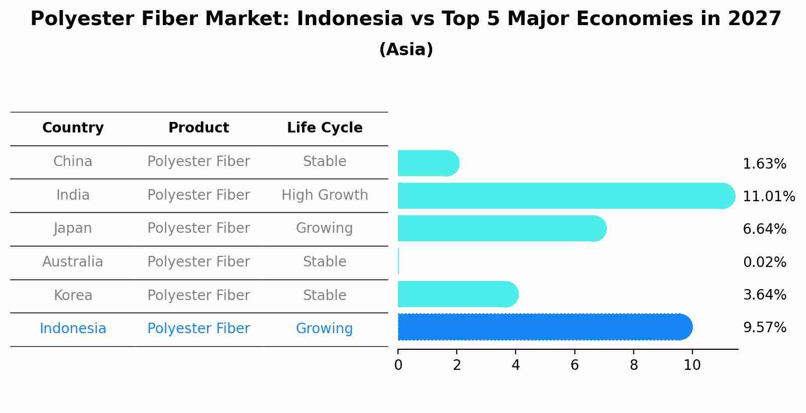 Polyester Fiber Market: Indonesia vs Top 5 Major Economies in 2027 (Asia)