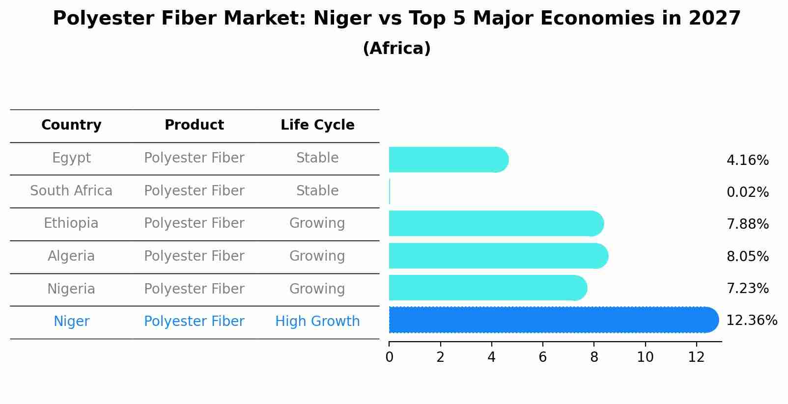Polyester Fiber Market: Niger vs Top 5 Major Economies in 2027 (Africa)
