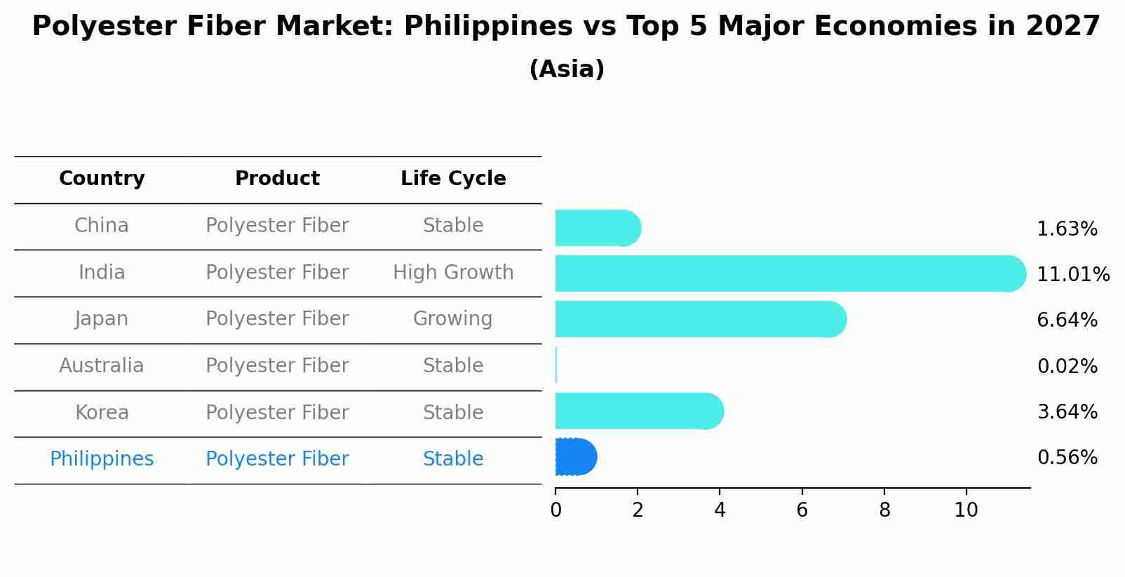 Polyester Fiber Market: Philippines vs Top 5 Major Economies in 2027 (Asia)