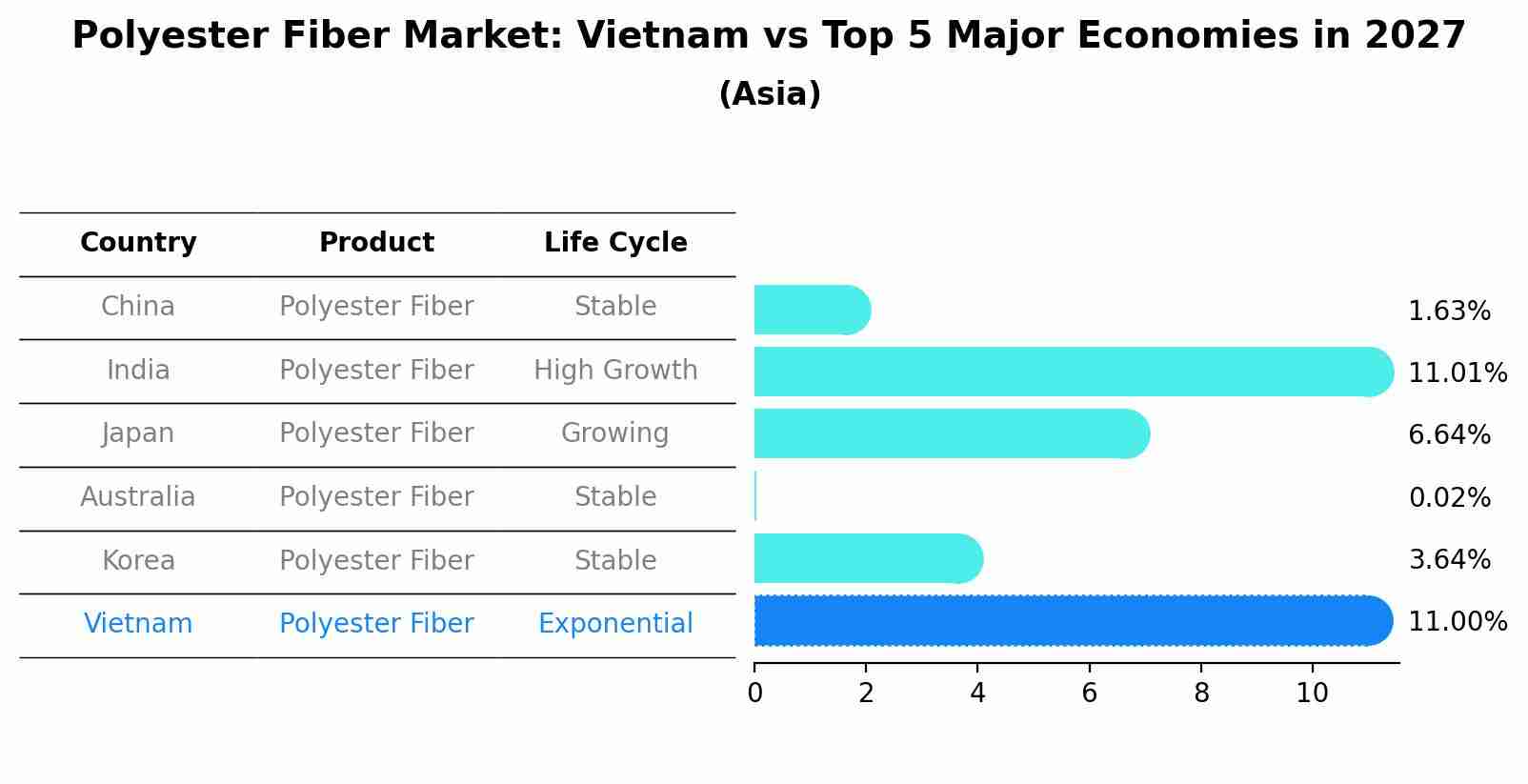 Polyester Fiber Market: Vietnam vs Top 5 Major Economies in 2027 (Asia)
