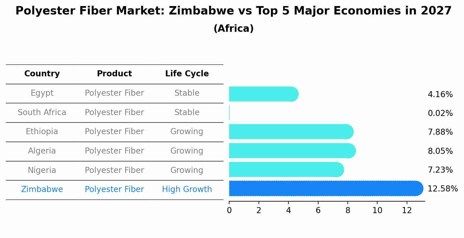 Polyester Fiber Market: Zimbabwe vs Top 5 Major Economies in 2027 (Africa)