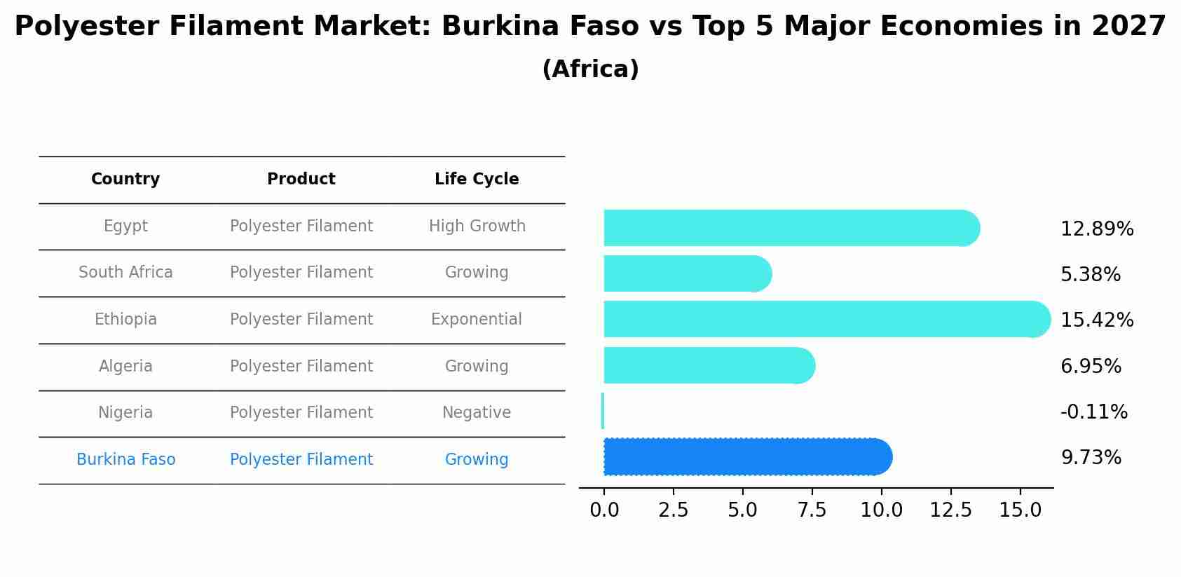 Polyester Filament Market: Burkina Faso vs Top 5 Major Economies in 2027 (Africa)