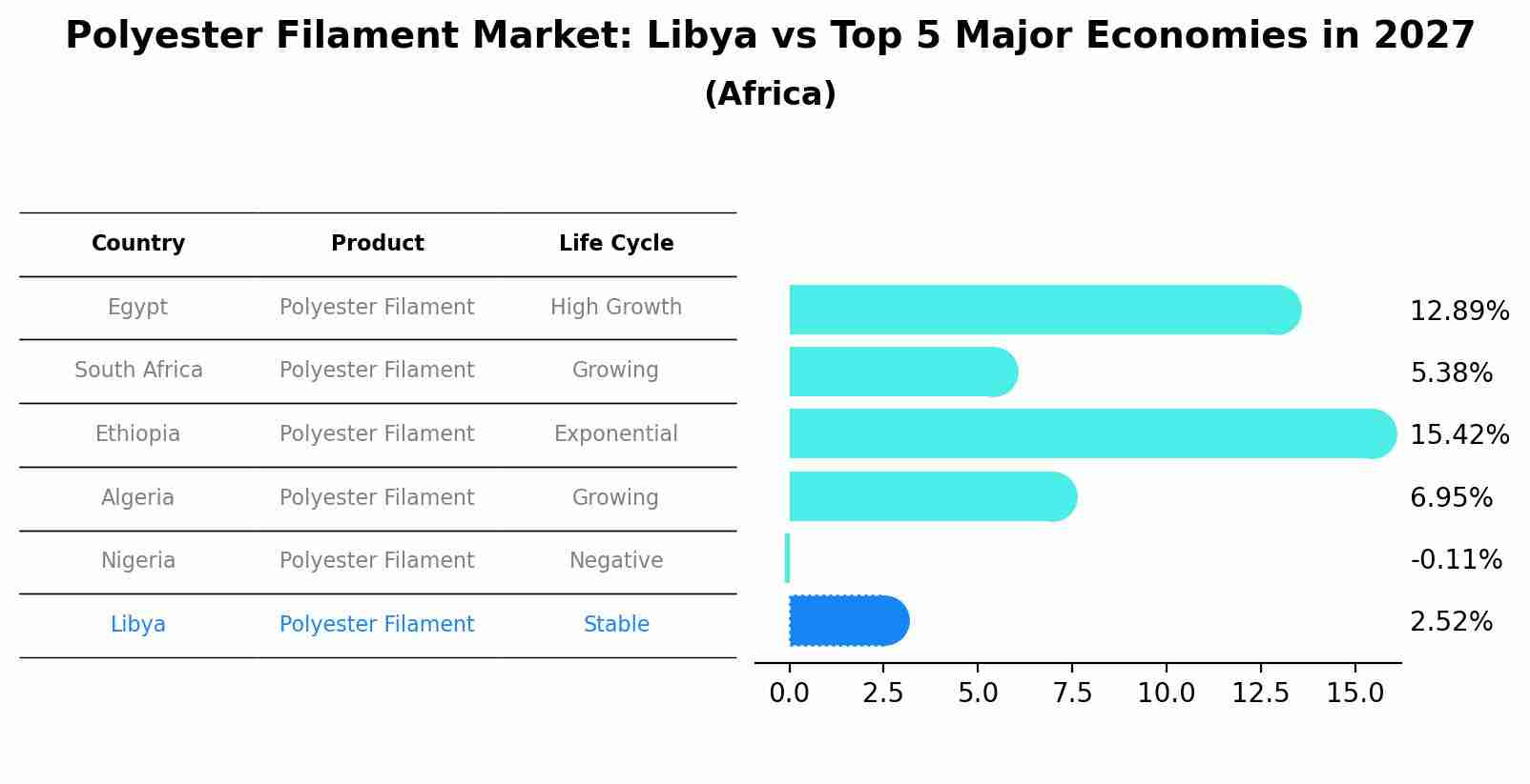 Polyester Filament Market: Libya vs Top 5 Major Economies in 2027 (Africa)