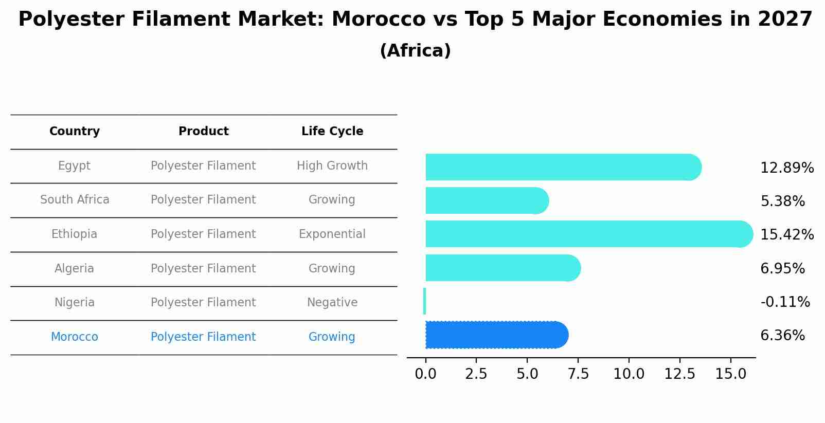 Polyester Filament Market: Morocco vs Top 5 Major Economies in 2027 (Africa)