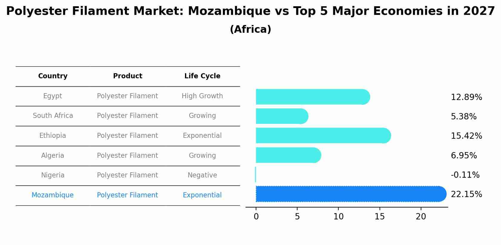 Polyester Filament Market: Mozambique vs Top 5 Major Economies in 2027 (Africa)