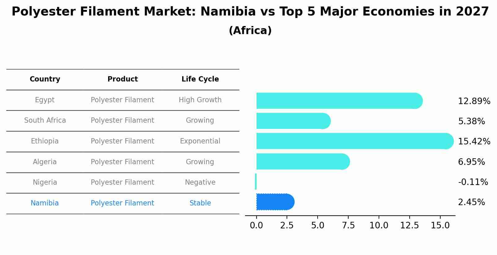 Polyester Filament Market: Namibia vs Top 5 Major Economies in 2027 (Africa)