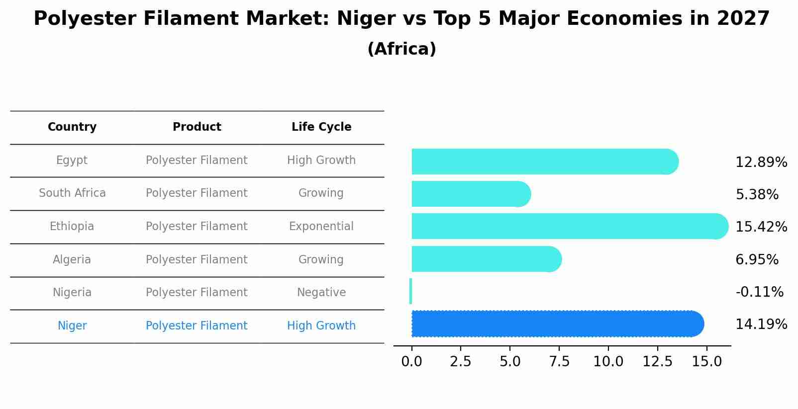 Polyester Filament Market: Niger vs Top 5 Major Economies in 2027 (Africa)