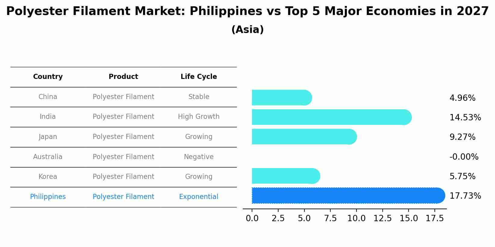 Polyester Filament Market: Philippines vs Top 5 Major Economies in 2027 (Asia)