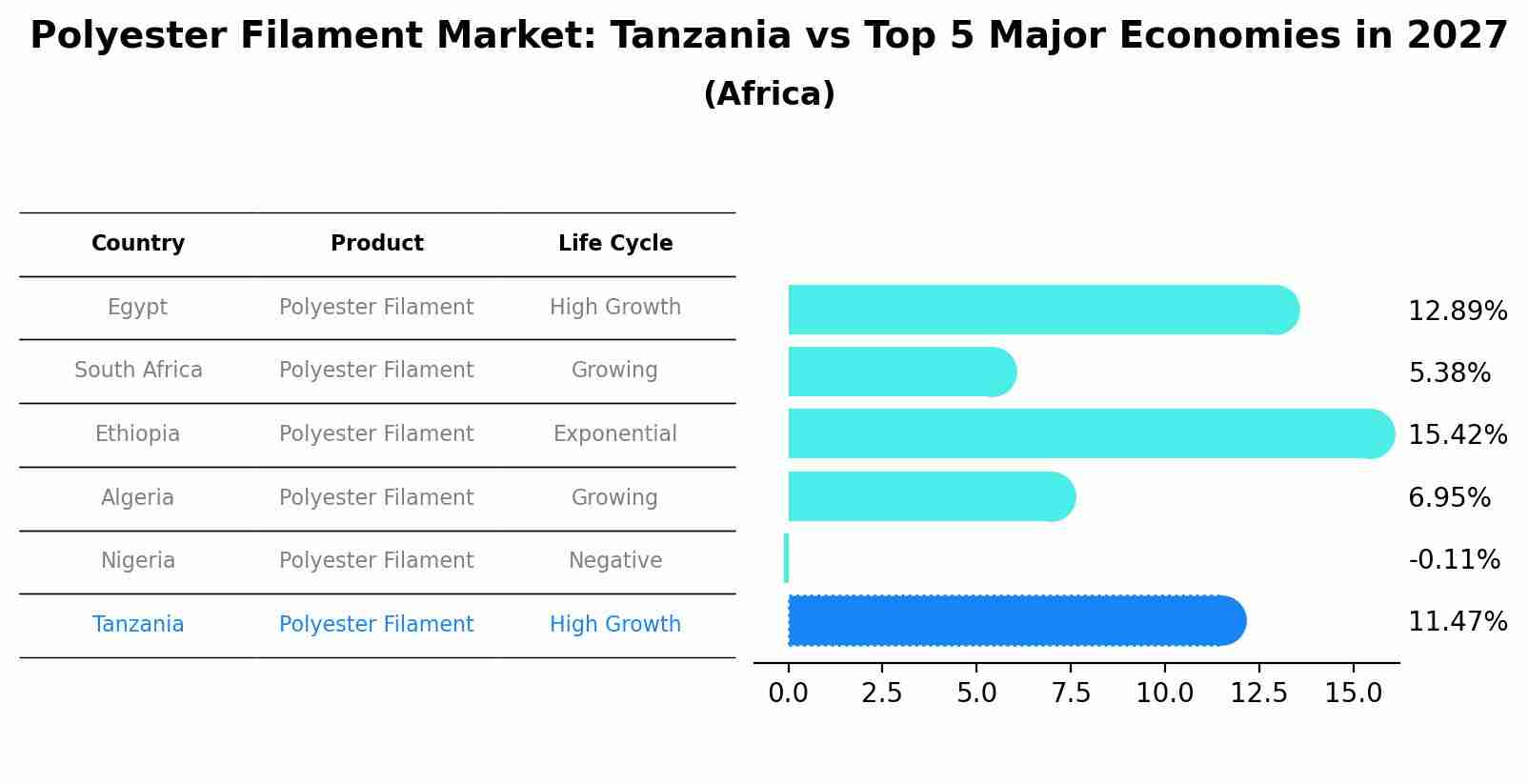 Polyester Filament Market: Tanzania vs Top 5 Major Economies in 2027 (Africa)