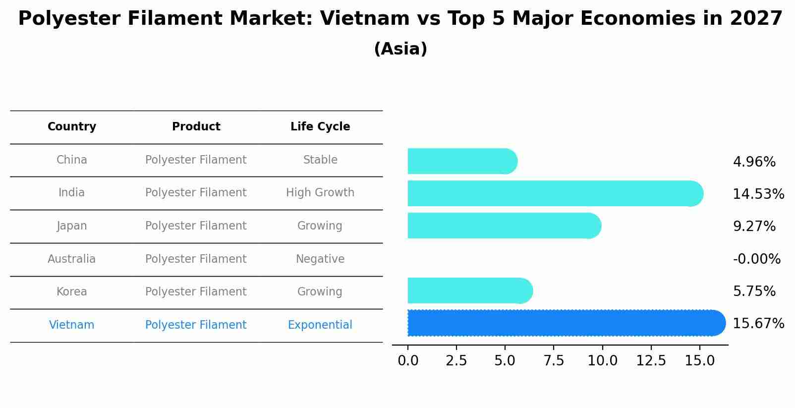 Polyester Filament Market: Vietnam vs Top 5 Major Economies in 2027 (Asia)