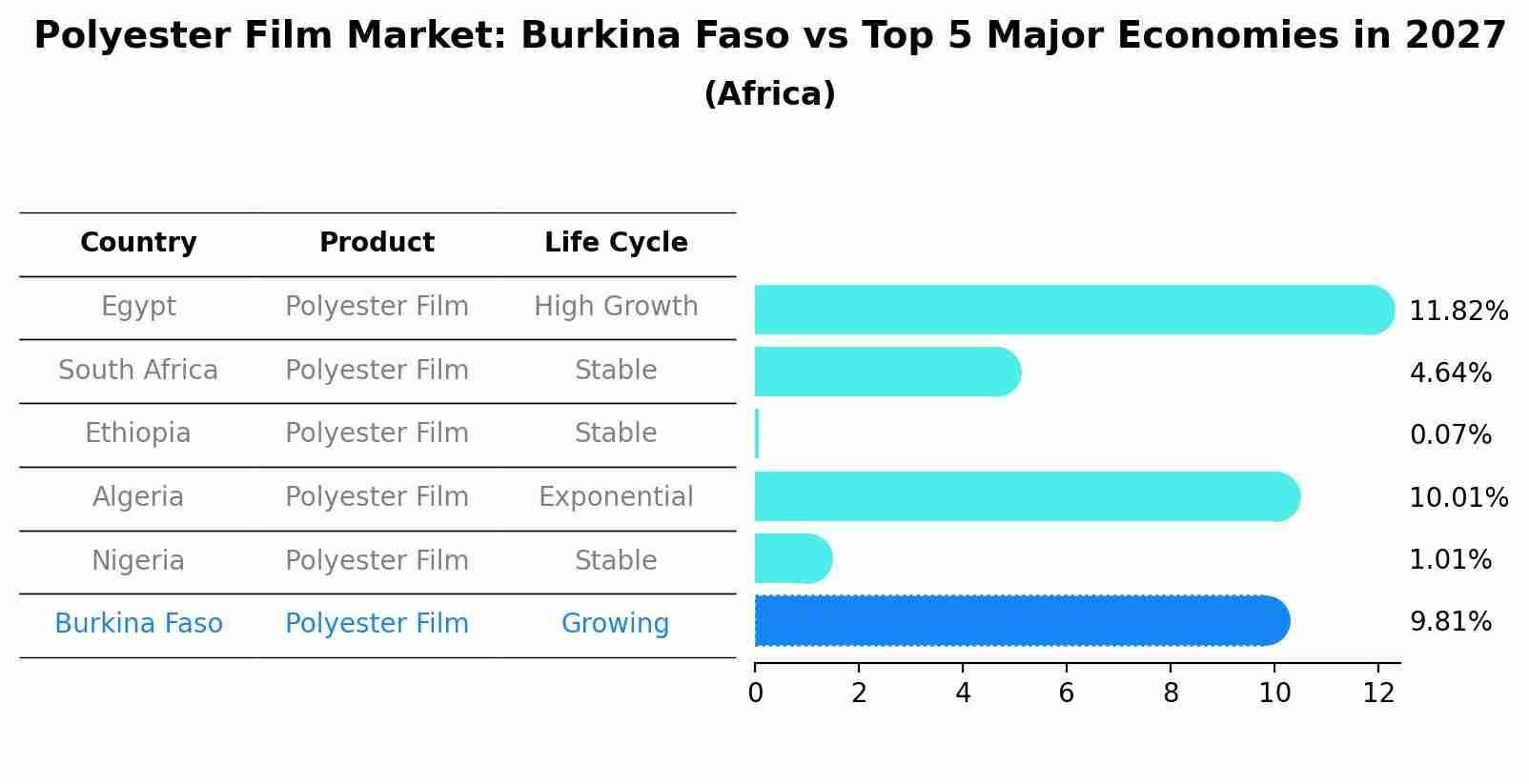 Polyester Film Market: Burkina Faso vs Top 5 Major Economies in 2027 (Africa)
