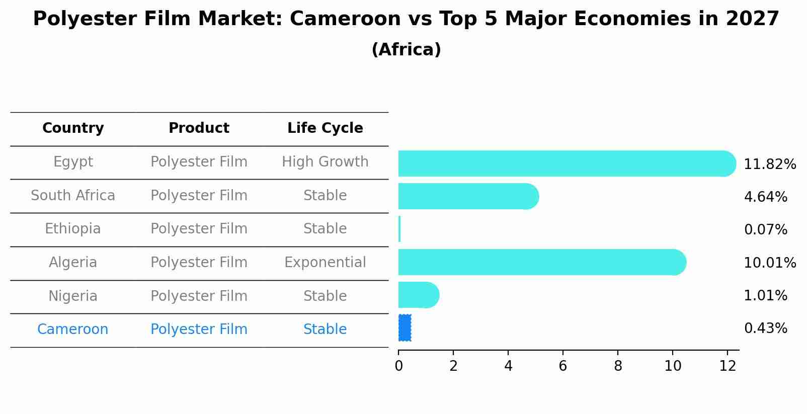 Polyester Film Market: Cameroon vs Top 5 Major Economies in 2027 (Africa)