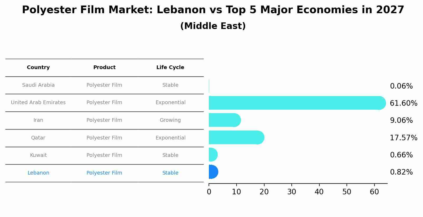Polyester Film Market: Lebanon vs Top 5 Major Economies in 2027 (Middle East)