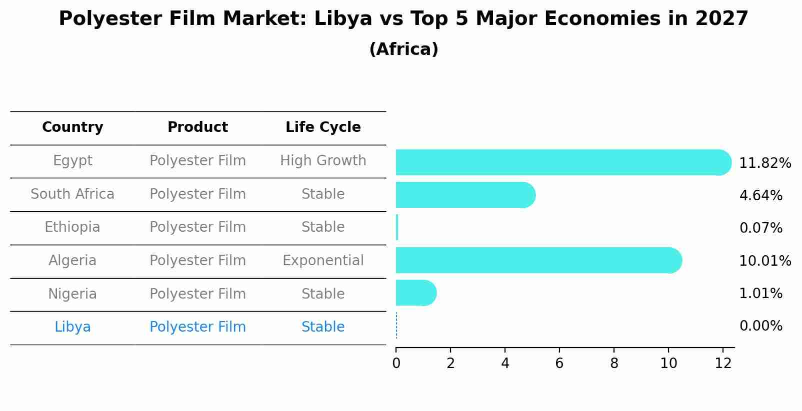 Polyester Film Market: Libya vs Top 5 Major Economies in 2027 (Africa)