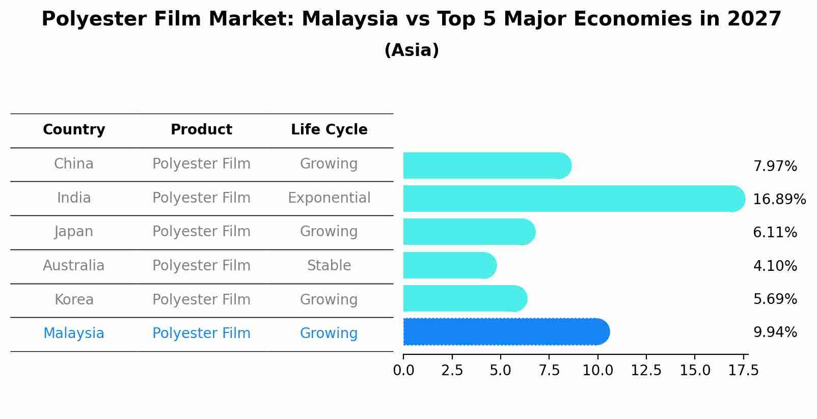 Polyester Film Market: Malaysia vs Top 5 Major Economies in 2027 (Asia)