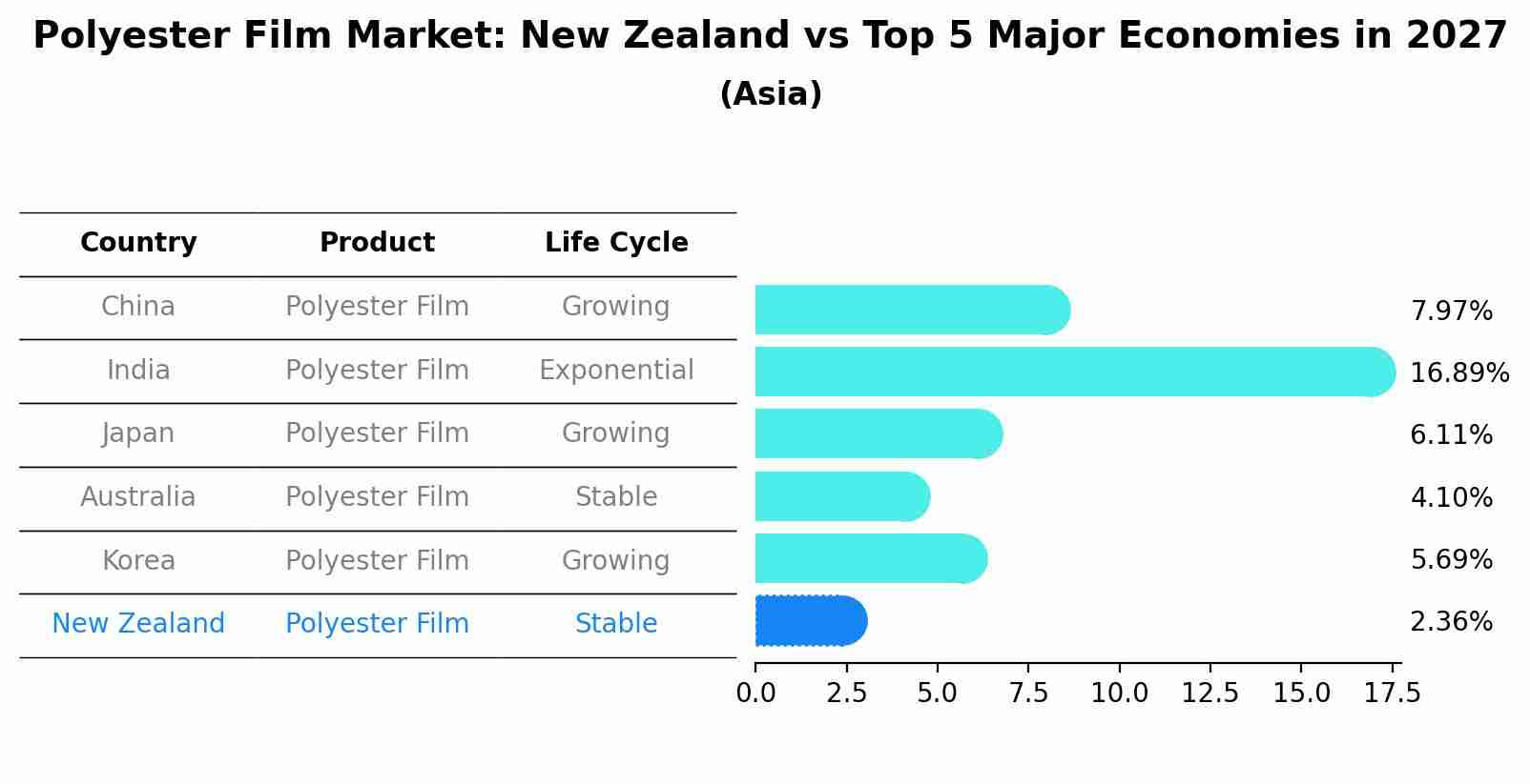 Polyester Film Market: New Zealand vs Top 5 Major Economies in 2027 (Asia)
