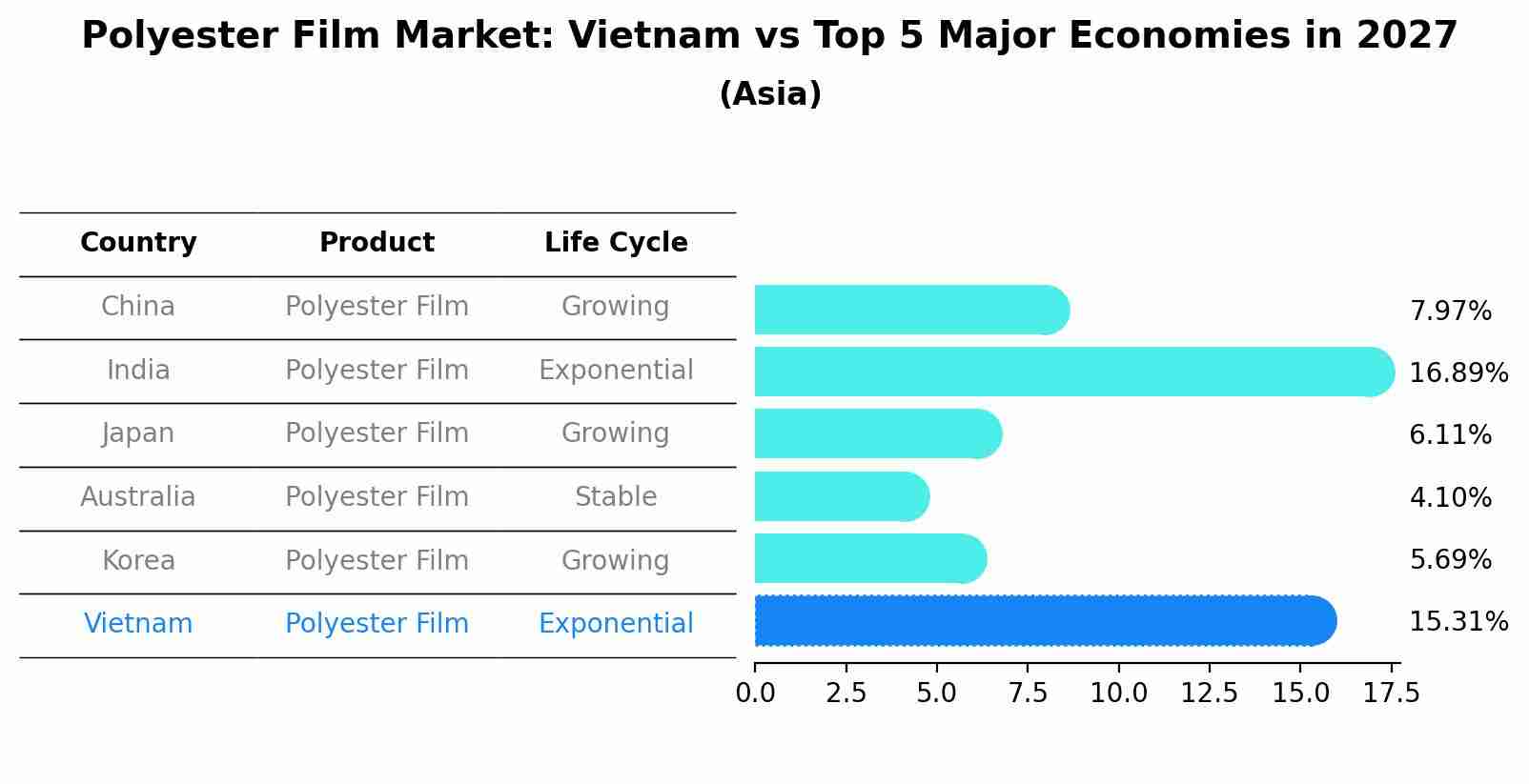 Polyester Film Market: Vietnam vs Top 5 Major Economies in 2027 (Asia)