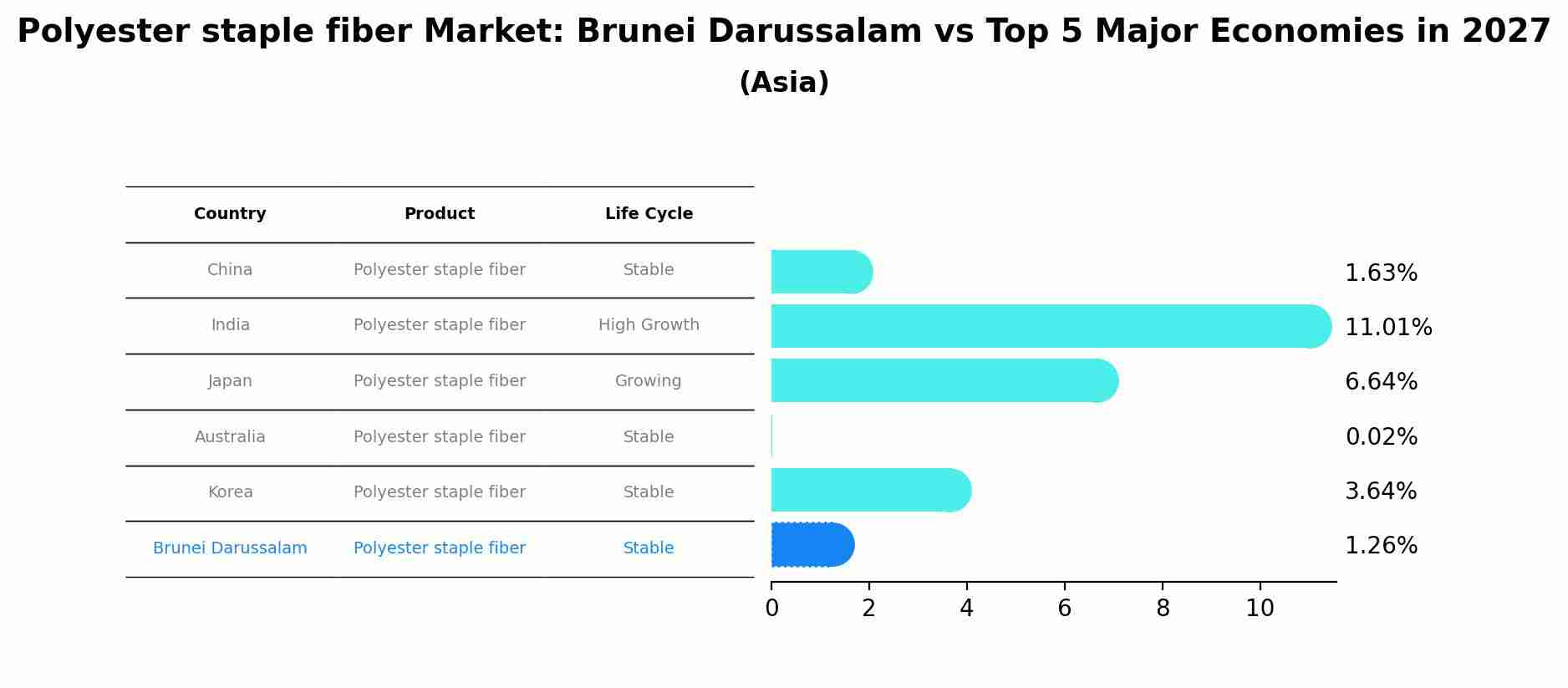 Polyester staple fiber Market: Brunei Darussalam vs Top 5 Major Economies in 2027 (Asia)